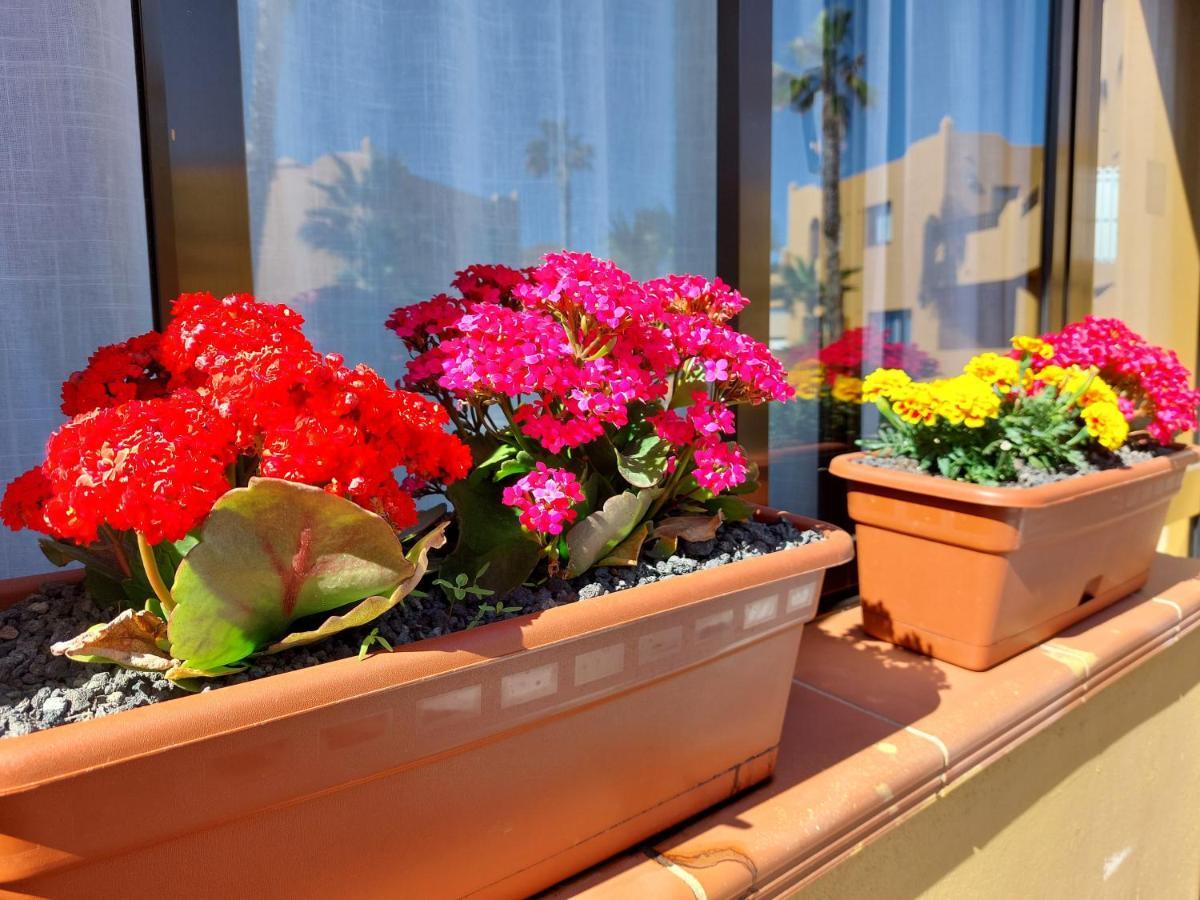 Casa Ledu - Sunny Holiday In Fuerteventura Corralejo Bagian luar foto